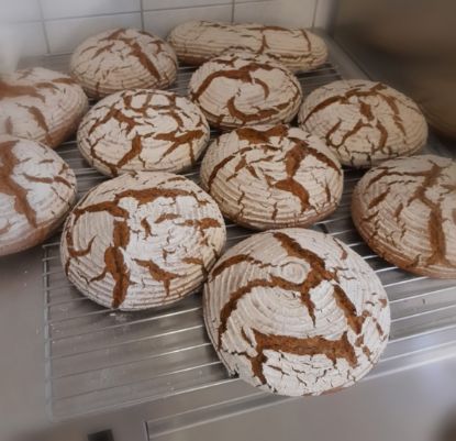 Bild von 1/2 Bio-Roggenbrot