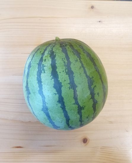 Picture of Wassermelone mini p. Stk.