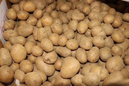 Picture of Kartoffel "Corinna" 2 kg