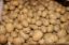 Bild von Kartoffel "Corinna" 2 kg