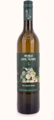 Sauvignon Blanc 2024, Vulkanland Steiermark DAC Sauvignon Blanc 2024, Vulkanland Steiermark DAC