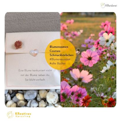 Zeige Details für Geschenkkuvert_Blumensaat Bild von Geschenkkuvert_Blumensaat