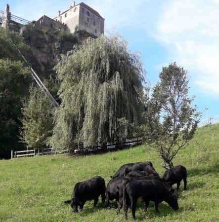 Bild für Moakt- Betrieb Biohof Posch