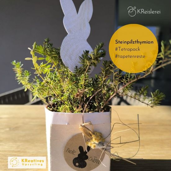 Bild von Steinpilzthymian - dekoriert - Tetrapack - Ostern